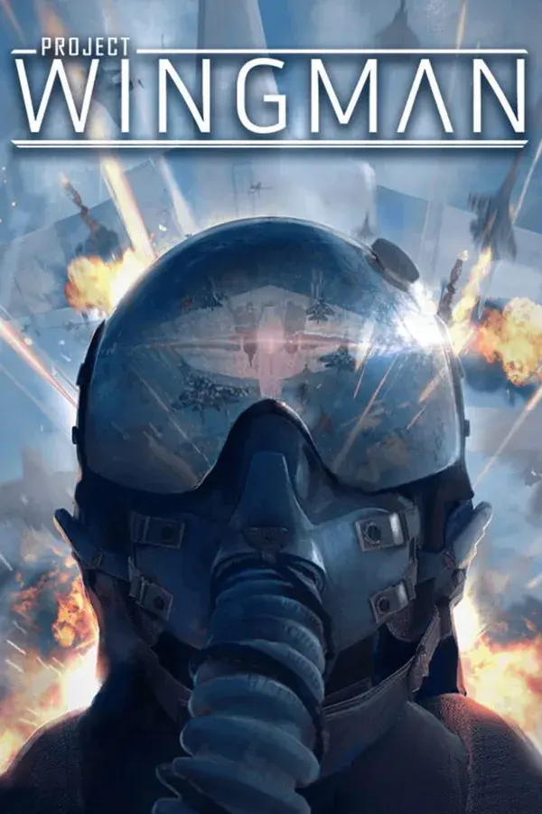Project Wingman cover art