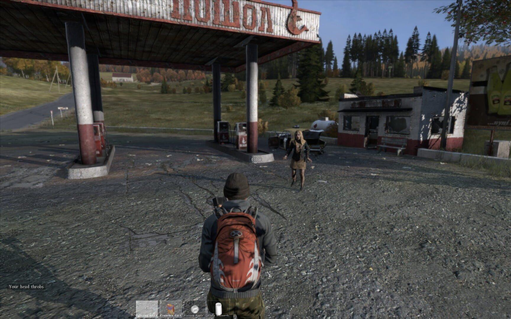 DayZ - akcja w grze