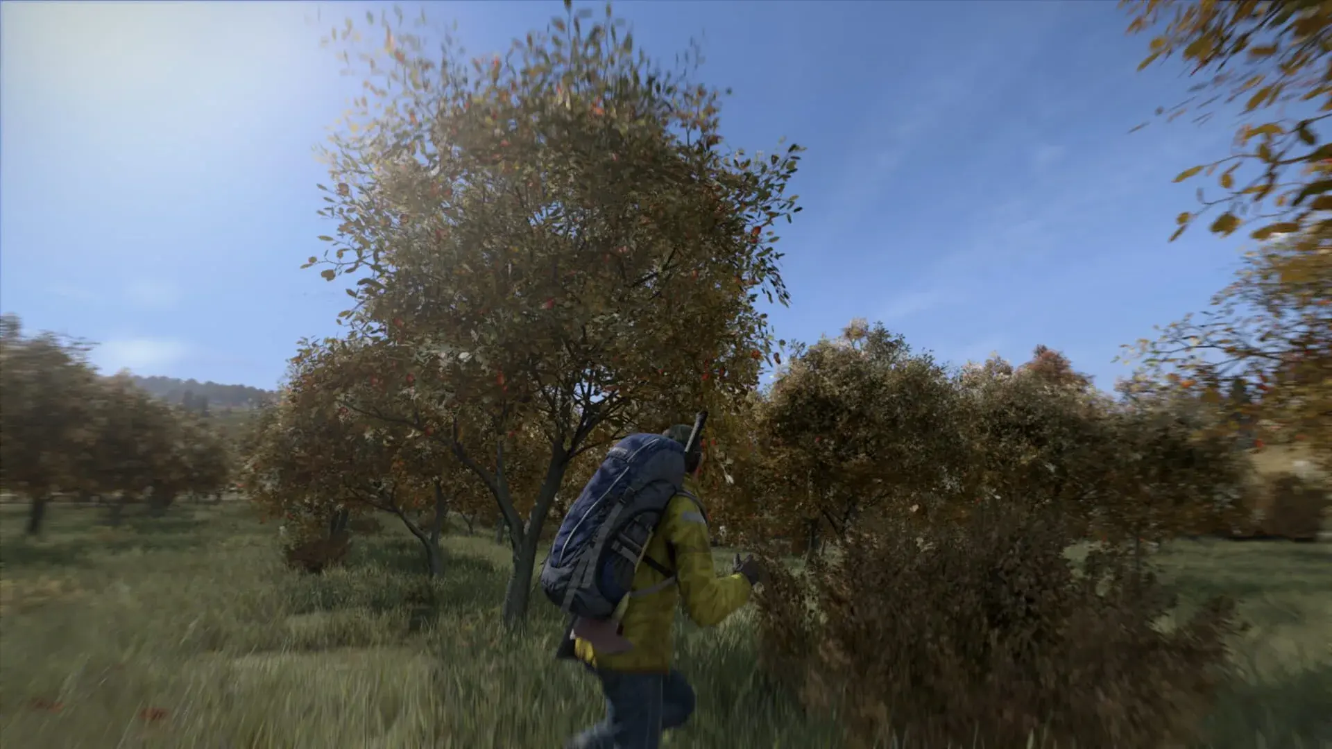 DayZ: Deluxe Edition - obrazek z gry