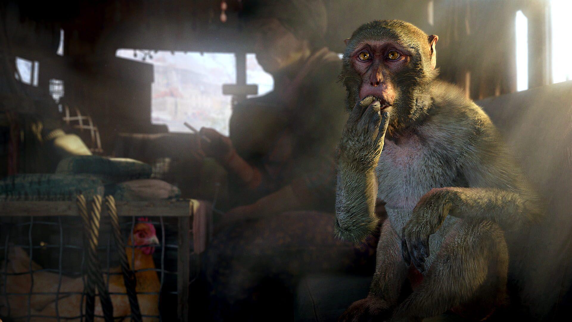 Far Cry 4 - screenshot wysokiej jakości