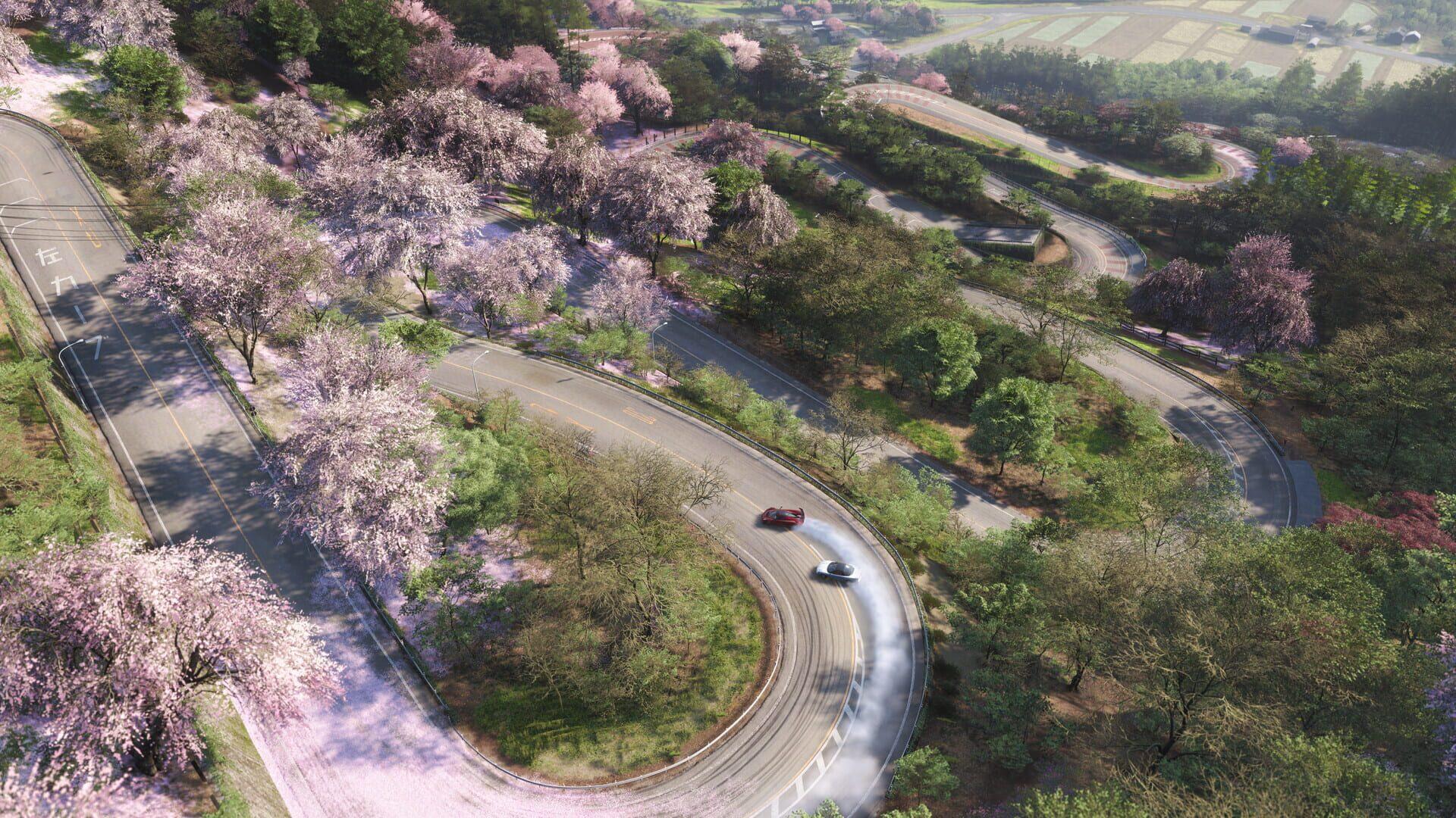Forza Horizon 6 - obrazek z gry