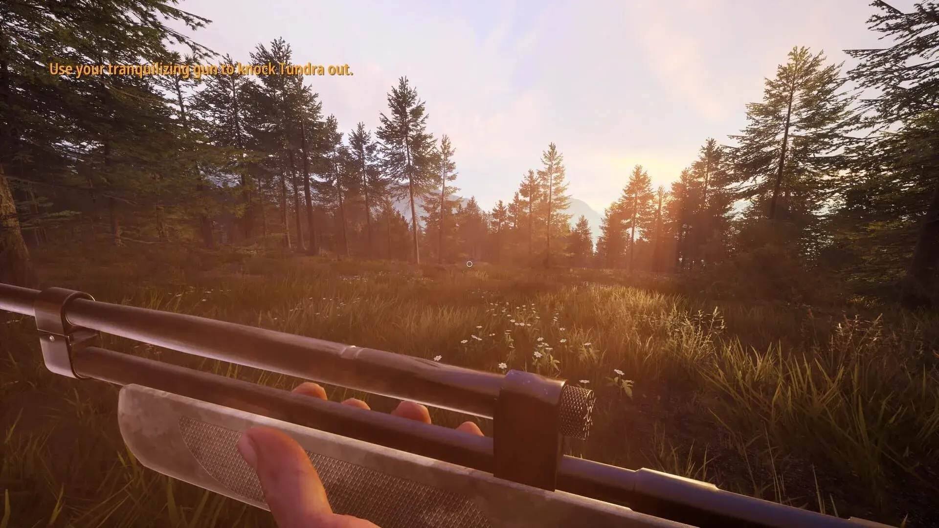 Hunting Simulator 2: A Ranger's Life - świat gry, lokacja