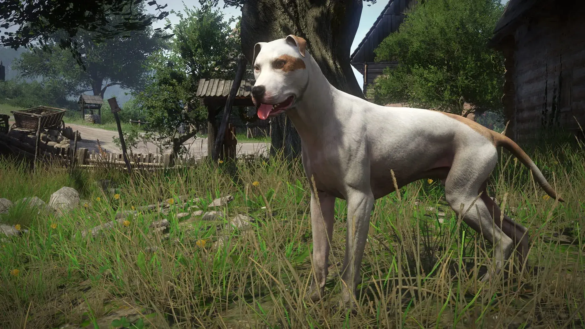 Kingdom Come: Deliverance - A Woman's Lot - świat gry, lokacja