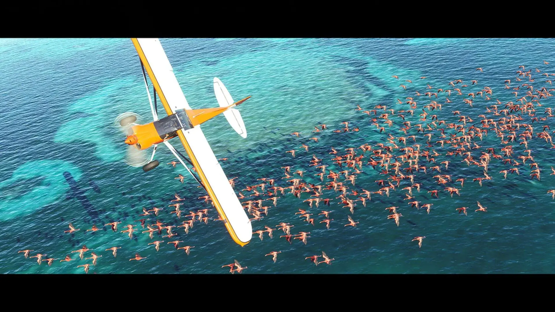 Microsoft Flight Simulator: Deluxe Edition (Xbox Series & PC) - akcja w grze
