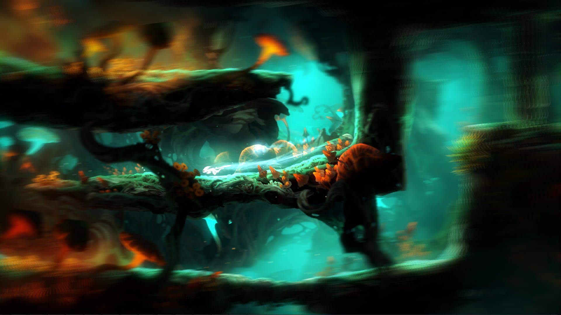 Ori and the Blind Forest: Definitive Edition - screenshot wysokiej jakości