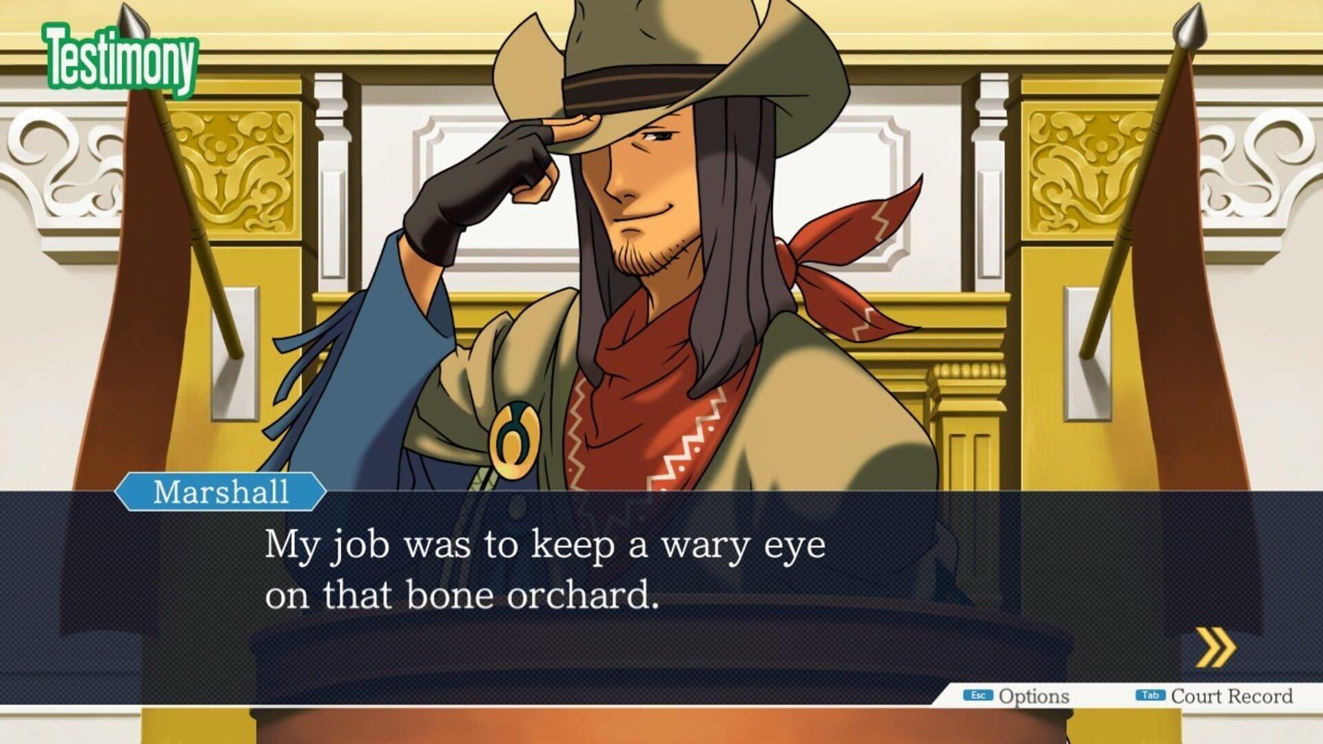 Phoenix Wright: Ace Attorney Trilogy - obrazek z gry