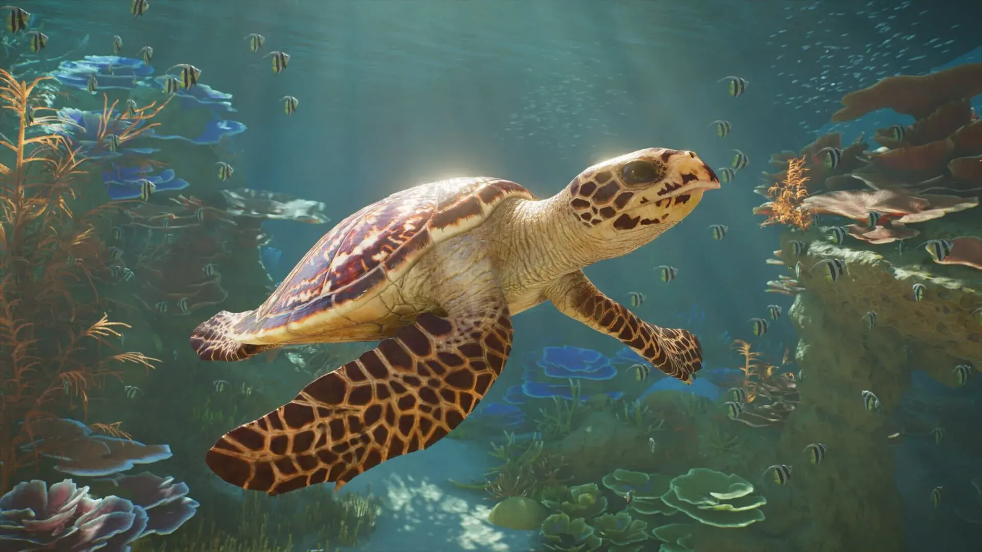Planet Zoo 2 - screenshot wysokiej jakości