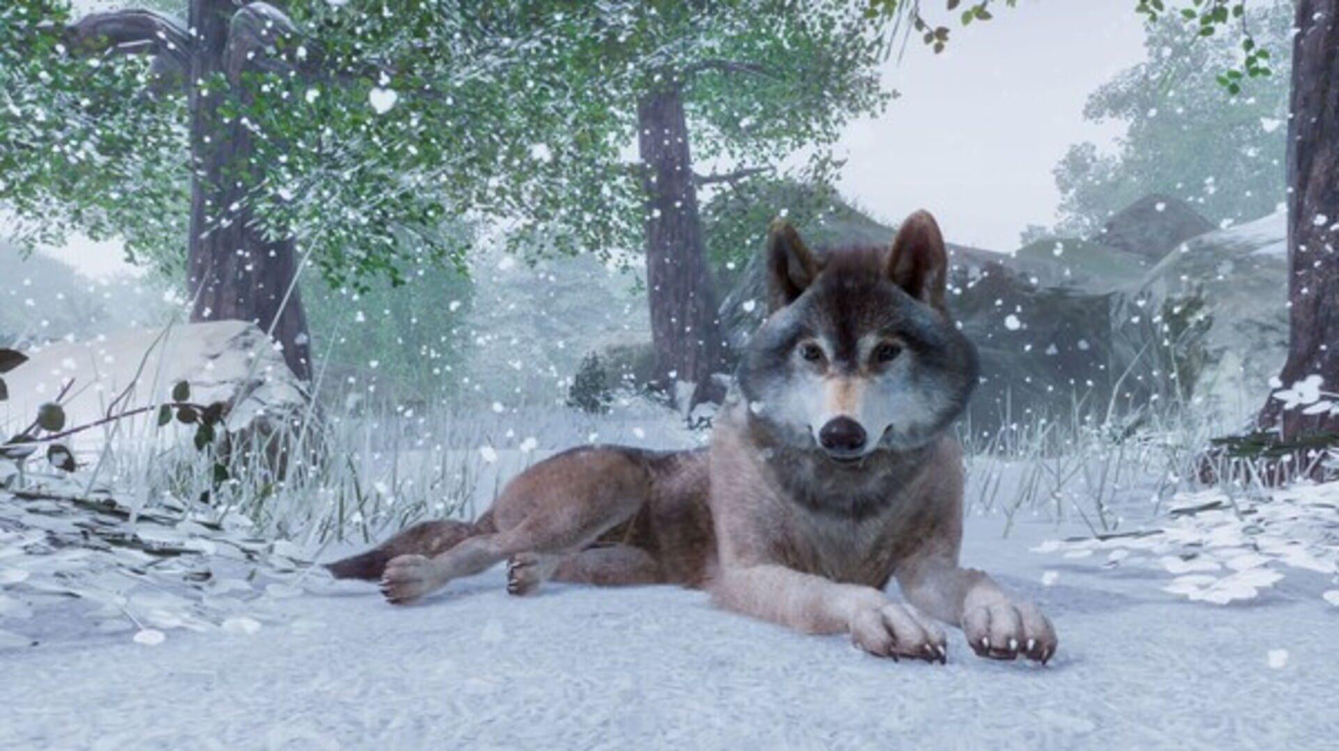 Planet Zoo - świat gry, lokacja