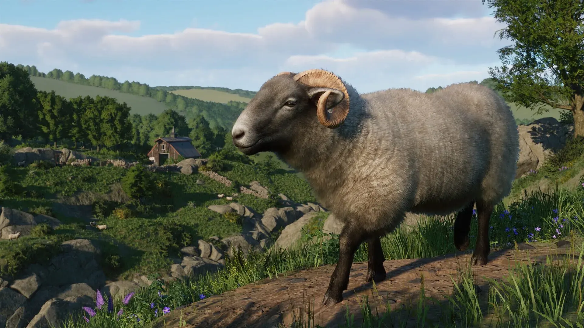 Planet Zoo: Barnyard Animal Pack - główny screenshot z gry