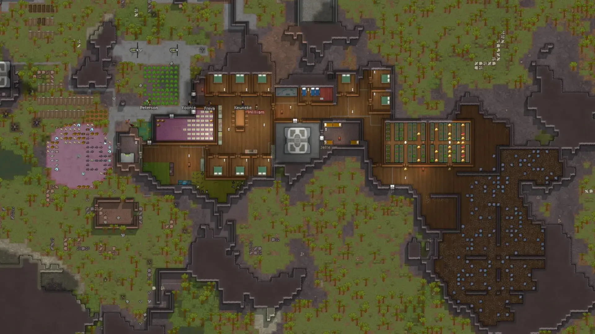 RimWorld: Deluxe Edition - gameplay screenshot