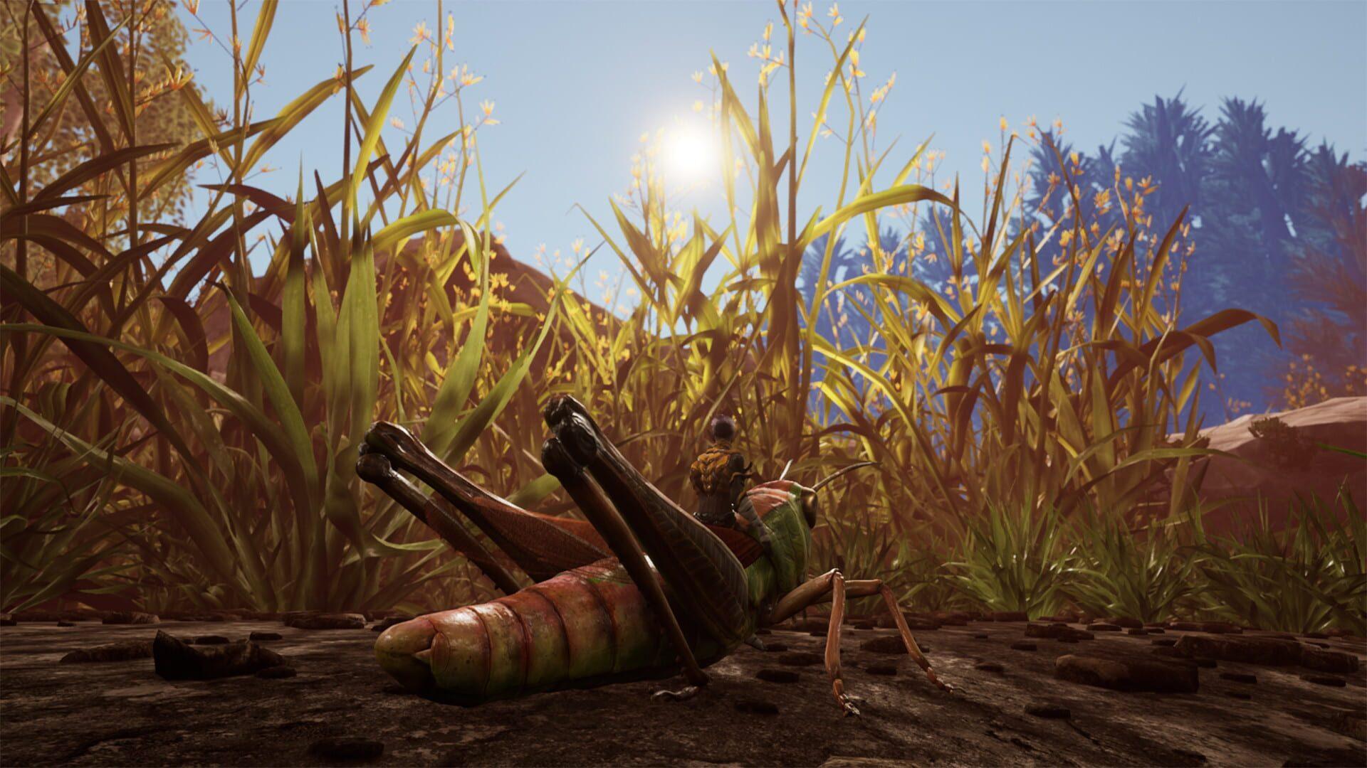 Smalland: Survive the Wilds - akcja w grze