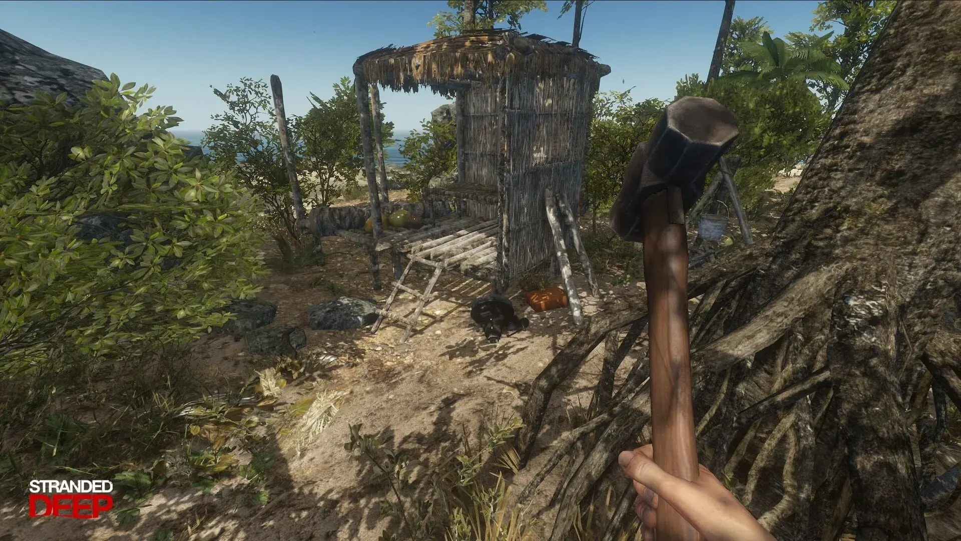 Stranded Deep - świat gry, lokacja