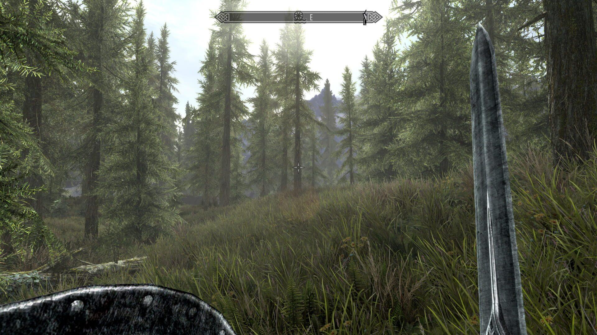 The Elder Scrolls V: Skyrim - obrazek z gry