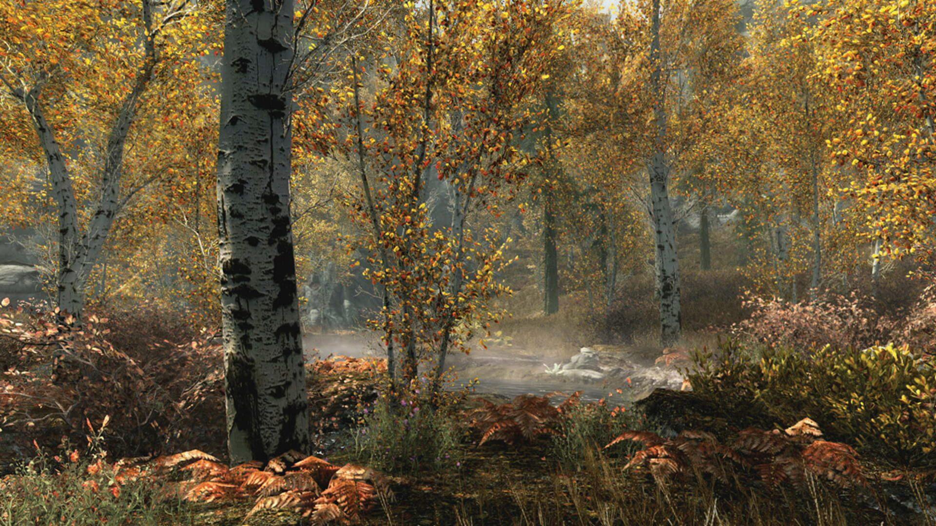 The Elder Scrolls V: Skyrim - Special Edition - screenshot wysokiej jakości