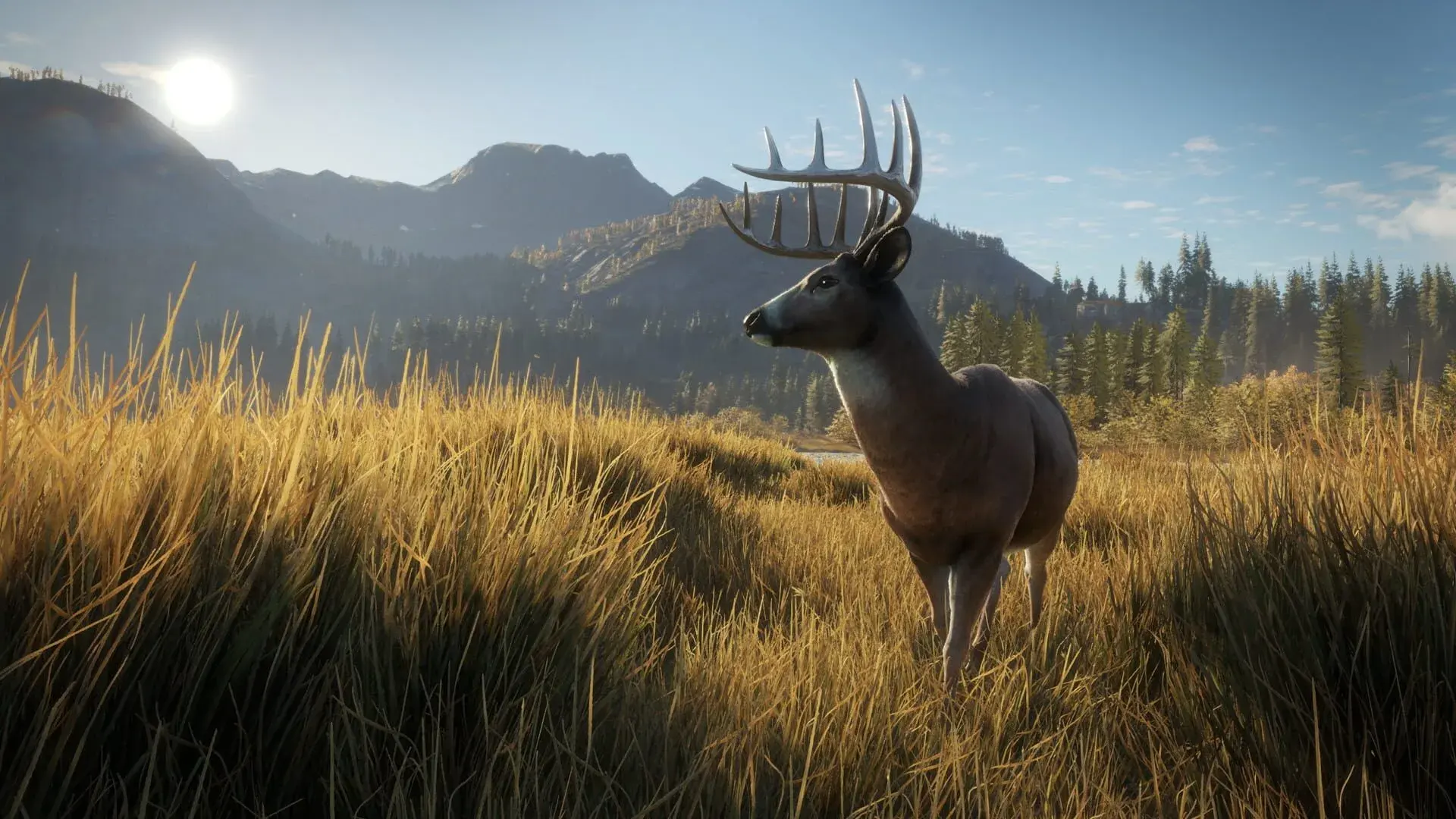 theHunter: Call of the Wild: 2022 Edition - gameplay screenshot