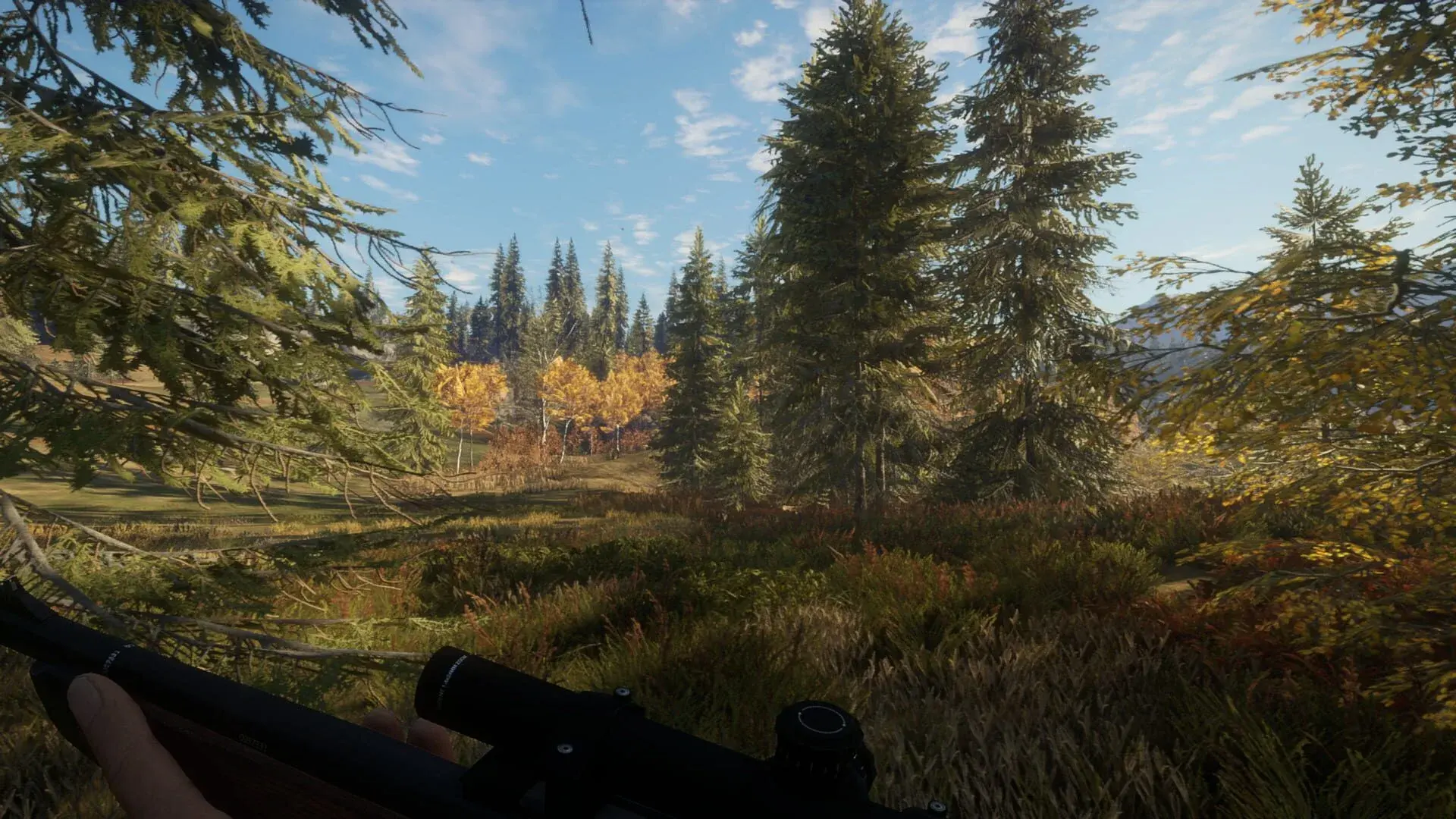 theHunter: Call of the Wild: 2022 Edition - obrazek z gry