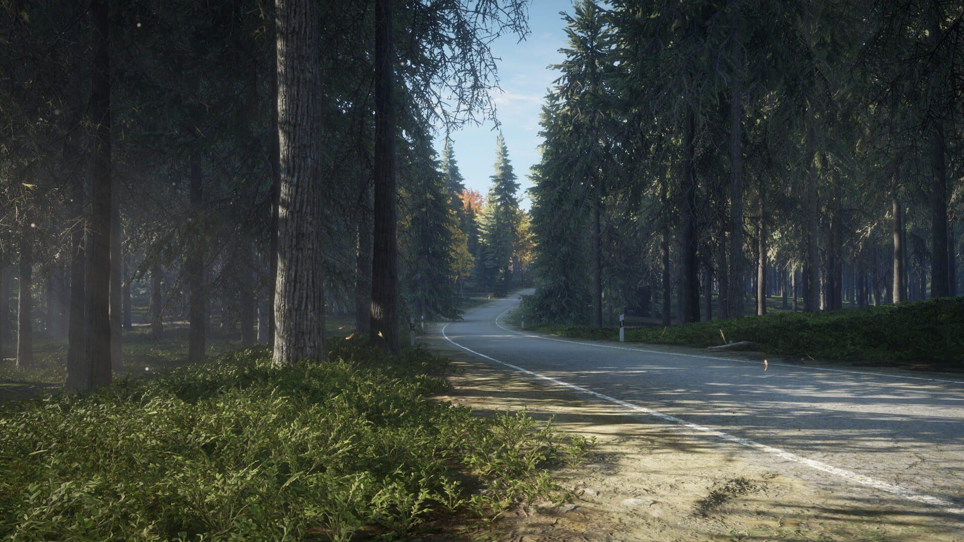 TheHunter: Call of the Wild - akcja w grze