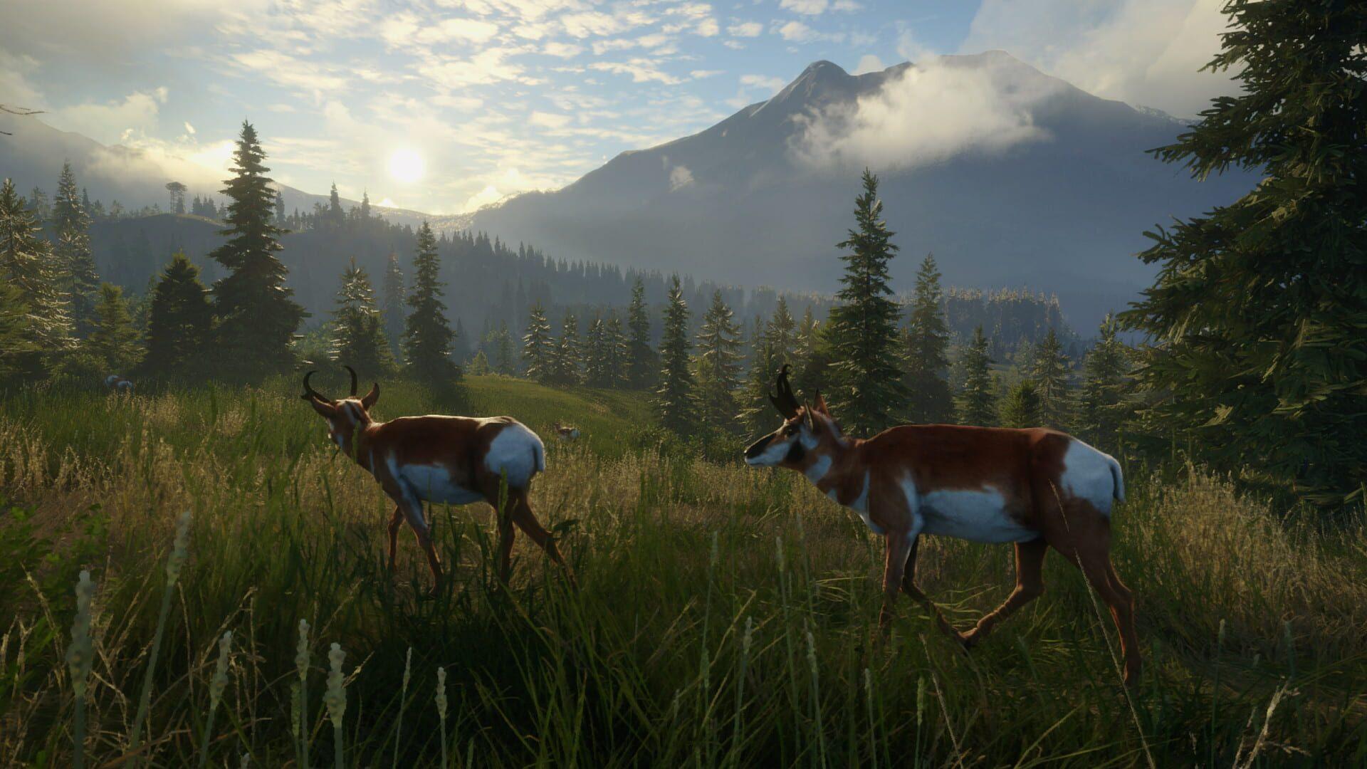 TheHunter: Call of the Wild - Silver Ridge Peaks - główny screenshot z gry