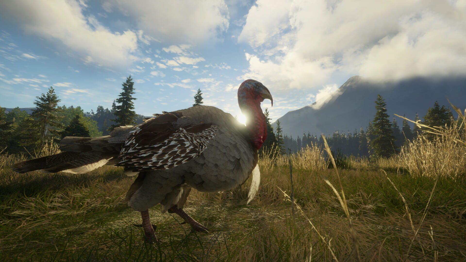 TheHunter: Call of the Wild - Silver Ridge Peaks - świat gry, lokacja