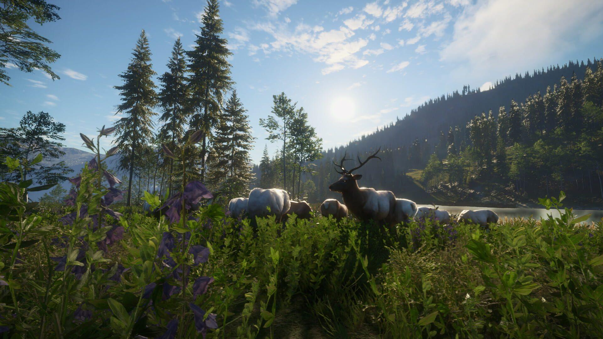 TheHunter: Call of the Wild - Silver Ridge Peaks - obrazek z gry