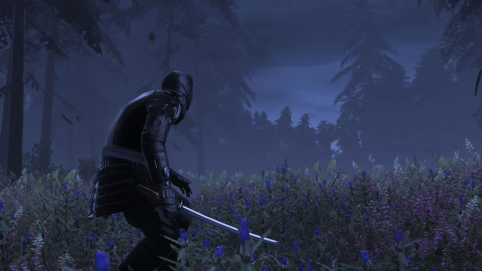 Total War: Shogun 2 - The Hattori Clan Pack - świat gry, lokacja