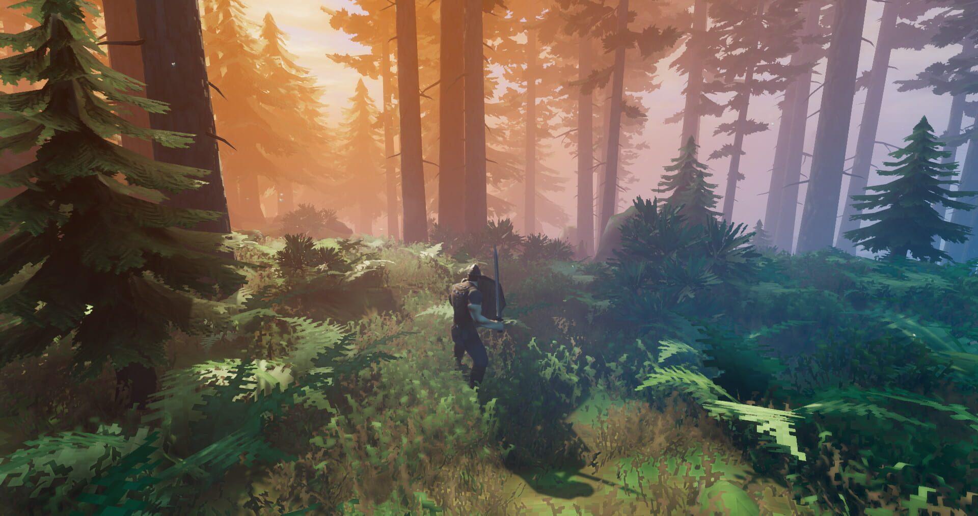 Valheim - screenshot wysokiej jakości