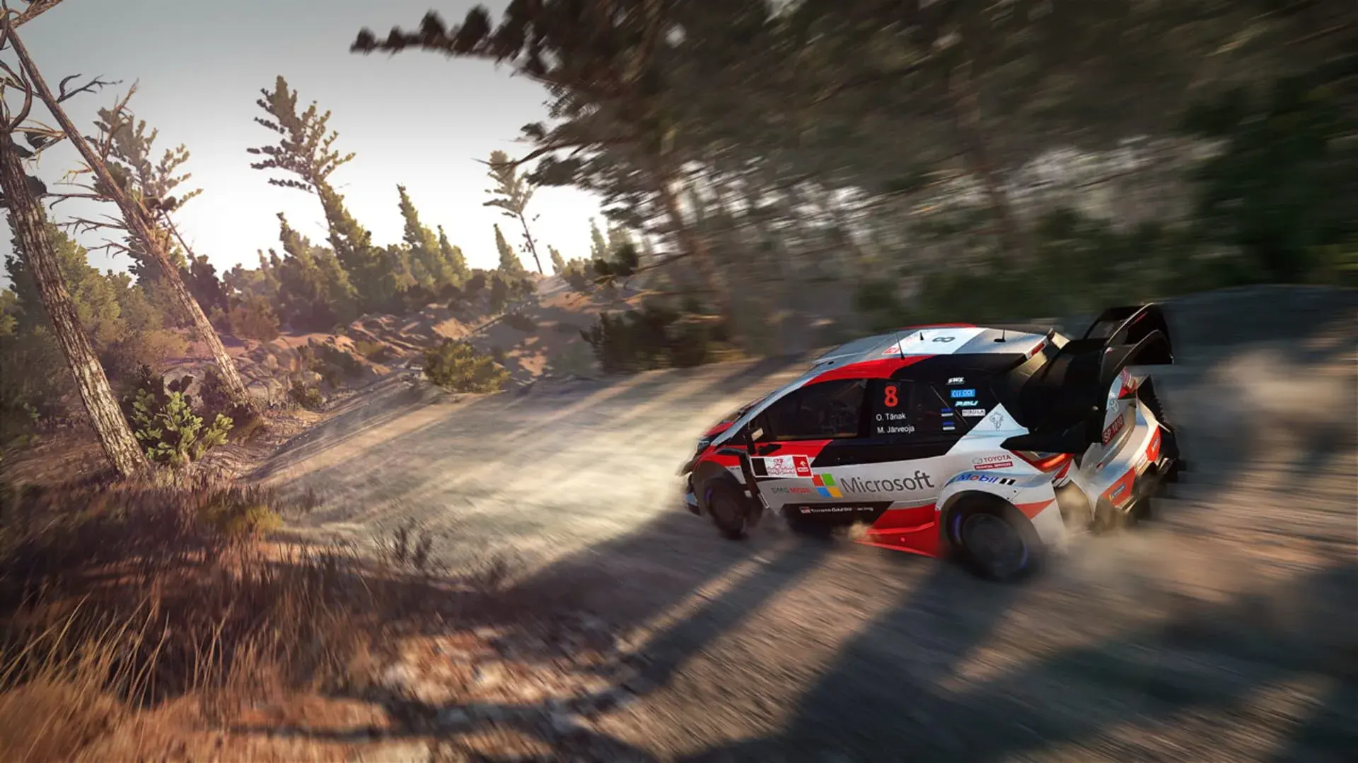 WRC 8: Deluxe Edition - świat gry, lokacja